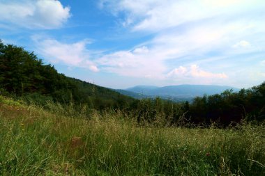 Dağın tepesinden manzara