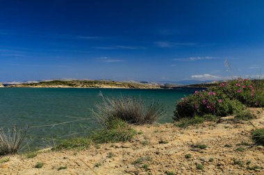 Hırvatistan 'ın Ra adasındaki ıssız, ıssız plajlar.