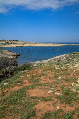 Croati 'deki Rab adasındaki Aziz Nikola plajı.