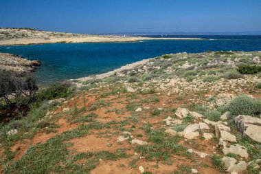 Croati 'deki Rab adasındaki Aziz Nikola plajı.