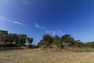 İnsansız çakıl taşı plajı Croati 'de dinlenecek bir ada Rab' bi.