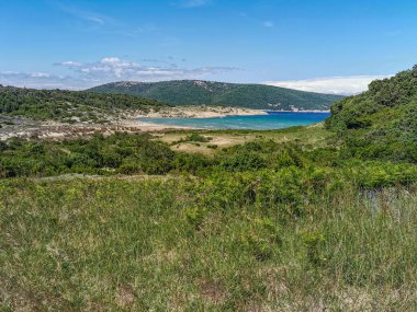 Hırvatistan 'da yaz aylarında Rab adasındaki Podsilo plajı