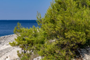 Hırvatistan 'ın Pula Istria Kamenjak kentindeki Adriyatik Denizi üzerinde çakıl taşı plajı tatili