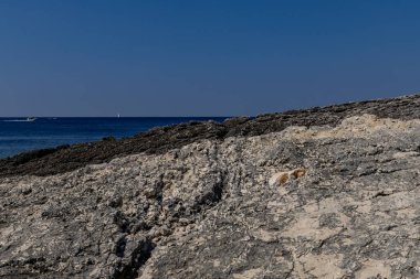 Hırvatistan 'ın Pula Istria Kamenjak kentindeki Adriyatik Denizi üzerinde çakıl taşı plajı tatili