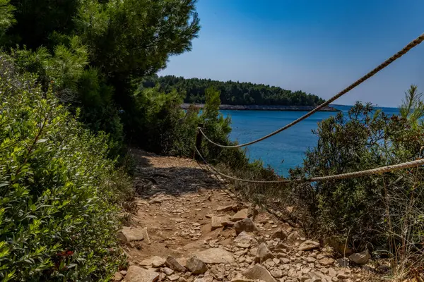 Vacaciones Playa Guijarros Mar Adriático Pula Istria Kamenjak Croacia —  Fotos de Stock