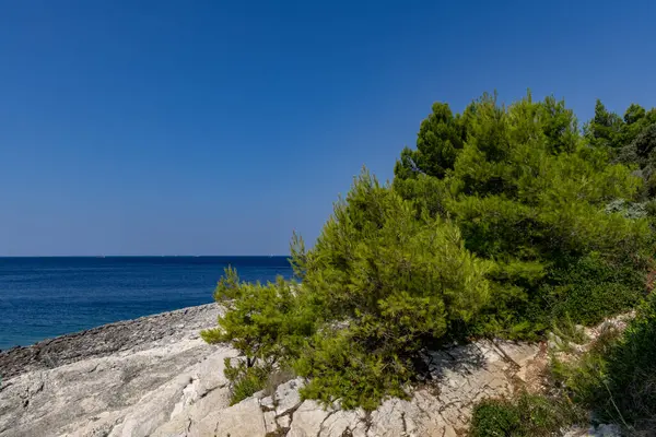 Пляжний Відпочинок Адріатичному Морі Пула Істрія Кам Яняк Хорватії — стокове фото