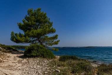 Hırvatistan 'da vahşi doğa taşlı plajları Kamenjak Yarımadası Pula manzarası