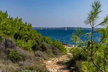 Hırvatistan 'da vahşi doğa taşlı plajları Kamenjak Yarımadası Pula manzarası