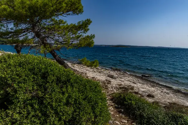 克罗地亚Kamenjak半岛普拉岛野生石质海滩 — 图库照片