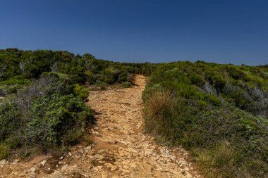 Hırvatistan 'ın Mikule Draziç plajı Kamenjak Pula Yarımadası