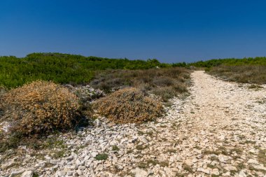Hırvatistan 'daki Kamenjak Yarımadası' nda gezi rotaları ve manzaralar