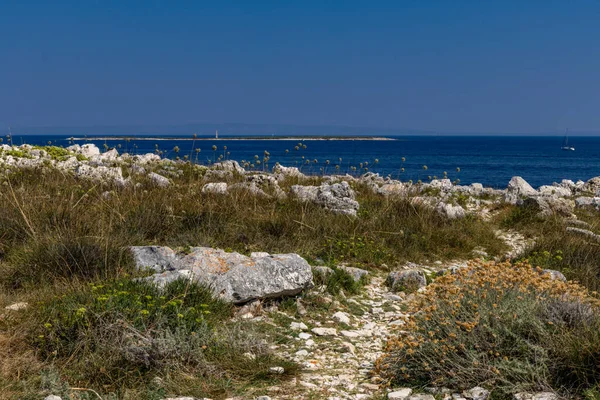 克罗地亚Kamenjak半岛的观光路线和景观 — 图库照片