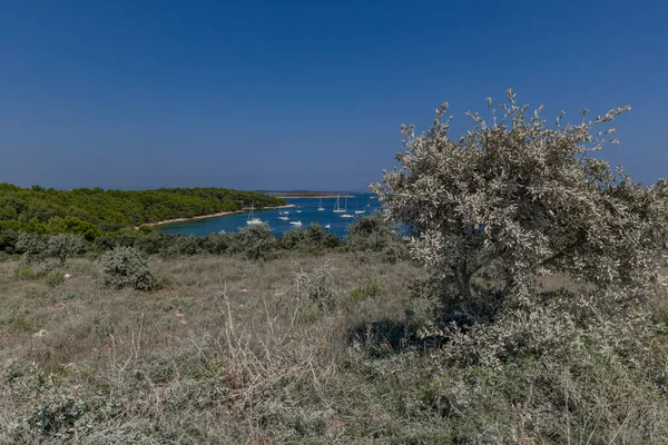 クロアチアのカメンジャ半島の観光ルートと風景 — ストック写真