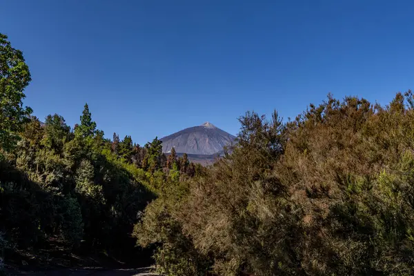 Όμορφο Τοπίο Του Διάσημου Ηφαιστείου Pico Del Teide Στο Εθνικό — Φωτογραφία Αρχείου