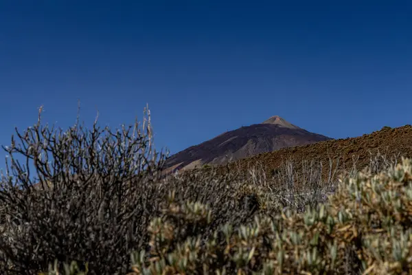 Bellissimo Paesaggio Del Famoso Vulcano Montagna Pico Del Teide Nel — Foto Stock