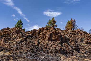 İspanya 'da Teide Ulusal Parkı, Tenerife' de yanan ağaçlar, orman yangınları