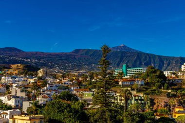 Puerto de la Cruz İspanya 