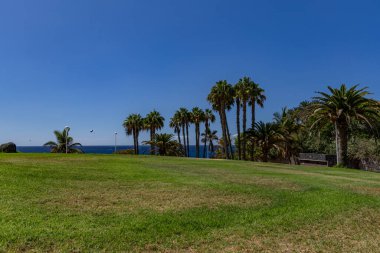Costa Adeje Sandy, Duque Fanabe İspanya Kanarya Adaları Tenerife 'de sahile çıktı