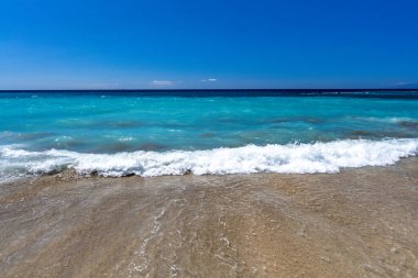 Costa Adeje Sandy, Duque Fanabe İspanya Kanarya Adaları Tenerife 'de sahile çıktı