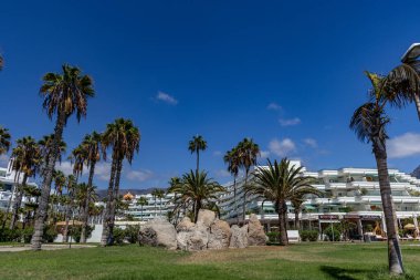 Costa Adeje Sandy, Duque Fanabe İspanya Kanarya Adaları Tenerife 'de sahile çıktı