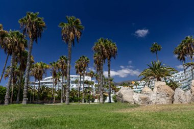 Costa Adeje Sandy, Duque Fanabe İspanya Kanarya Adaları Tenerife 'de sahile çıktı