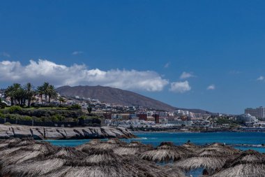 Costa Adeje Sandy, Duque Fanabe İspanya Kanarya Adaları Tenerife 'de sahile çıktı