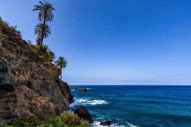 Siyah volkanik kumu, yamacında yeşil palmiye ağaçları, Atlantik Okyanusu, Castro Playa Castro Teneriffe İspanya