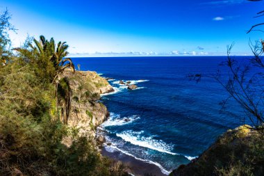 Siyah volkanik kumu, yamacında yeşil palmiye ağaçları, Atlantik Okyanusu, Castro Playa Castro Teneriffe İspanya