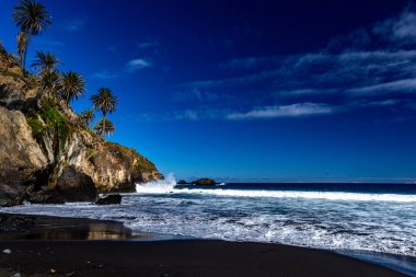 Siyah volkanik kumu, yamacında yeşil palmiye ağaçları, Atlantik Okyanusu, Castro Playa Castro Teneriffe İspanya