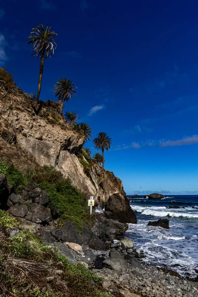 stock image Beach with black volcanic sand, green palm trees on the slope, dangerous waves, Atlantic Ocean, Castro Beach Playa Castro Teneriffe Spain