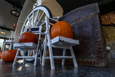 Cadılar Bayramı balkabağı süslemesi, neşeli turuncu balkabakları,