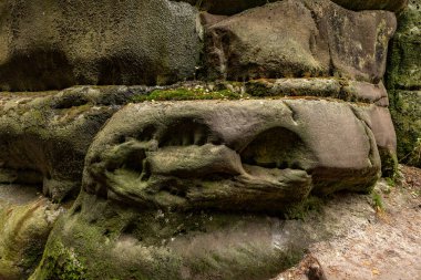 Rock şehrini ziyaret eden Adrpach Kayalıkları Polonya sınırındaki Rock City 'nin devasa kayalıkları.