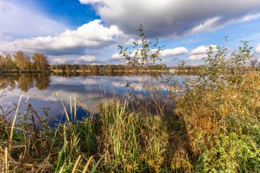 Göl kenarındaki sonbahar manzarası, sarı çimenler, Polonya 'daki ağaçlardan düşen portakal yaprakları.