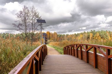 Fotovoltaik paneller, ekolojik yenilenebilir enerji kaynakları, Polonya Gölü kıyısındaki güneş lambaları.