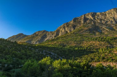 Makarska Riviera plajları Hırvatistan 'ın Drvenik turizm beldesi
