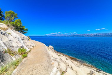 Hırvatistan 'da yazın yeşil çalılar