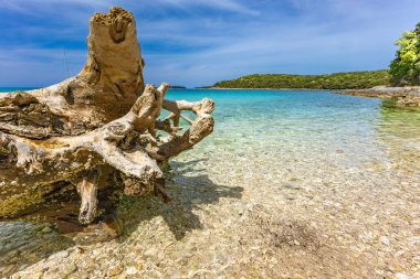 Adriyatik Denizi 'nde dinlenme, Mayıs haftasonu Hırvatistan' da, İstriya Yarımadası 'nda Rovinj' i ziyaret etme