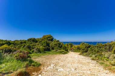 Istria Kamenjak Yarımadası. Güzel plajlar. Vahşi doğanın içine atlamak için yüksek uçurumlar.
