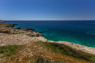 Istria Kamenjak Yarımadası. Güzel plajlar. Vahşi doğanın içine atlamak için yüksek uçurumlar.