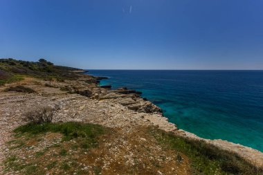 Istria Kamenjak Yarımadası. Güzel plajlar. Vahşi doğanın içine atlamak için yüksek uçurumlar.