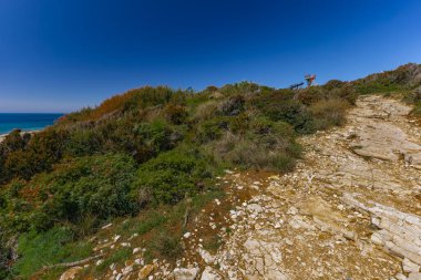 Istria Kamenjak Yarımadası. Güzel plajlar. Vahşi doğanın içine atlamak için yüksek uçurumlar.