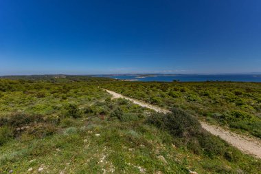 Istria Kamenjak Yarımadası. Güzel plajlar. Vahşi doğanın içine atlamak için yüksek uçurumlar.
