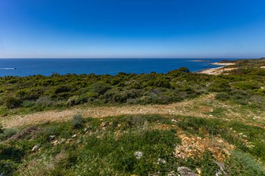 Istria Kamenjak Yarımadası. Güzel plajlar. Vahşi doğanın içine atlamak için yüksek uçurumlar.