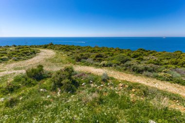 Istria Kamenjak Yarımadası. Güzel plajlar. Vahşi doğanın içine atlamak için yüksek uçurumlar.