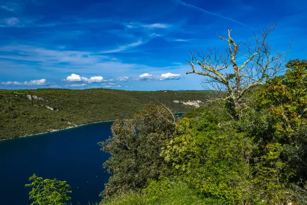 stock image Viewpoint on the Lim Canal in Istria Croatia