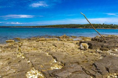 Hırvatistan 'da romantik plaj, gök mavisi su, Rovinj Istri' nin kayalık kıyıları