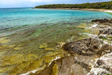 Hırvatistan 'da romantik plaj, gök mavisi su, Rovinj Istri' nin kayalık kıyıları