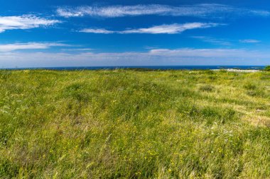 Bronz Çağı 'ndan kalma Monkodonja yerleşimi, Hırvatistan' daki Rovinj arkeoloji sahası 