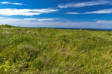 Bronz Çağı 'ndan kalma Monkodonja yerleşimi, Hırvatistan' daki Rovinj arkeoloji sahası 