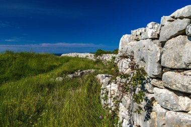 Bronz Çağı 'ndan kalma Monkodonja yerleşimi, Hırvatistan' daki Rovinj arkeoloji sahası 
